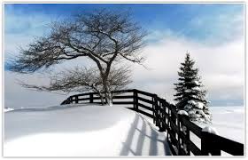 Soğuk Hava Koşullarında Beton Dökümü ve Bakımı Nasıl Yapılmalı?