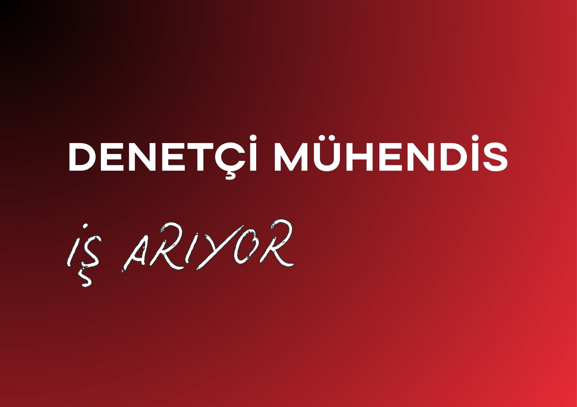 Denetçi İnşaat Mühendisi